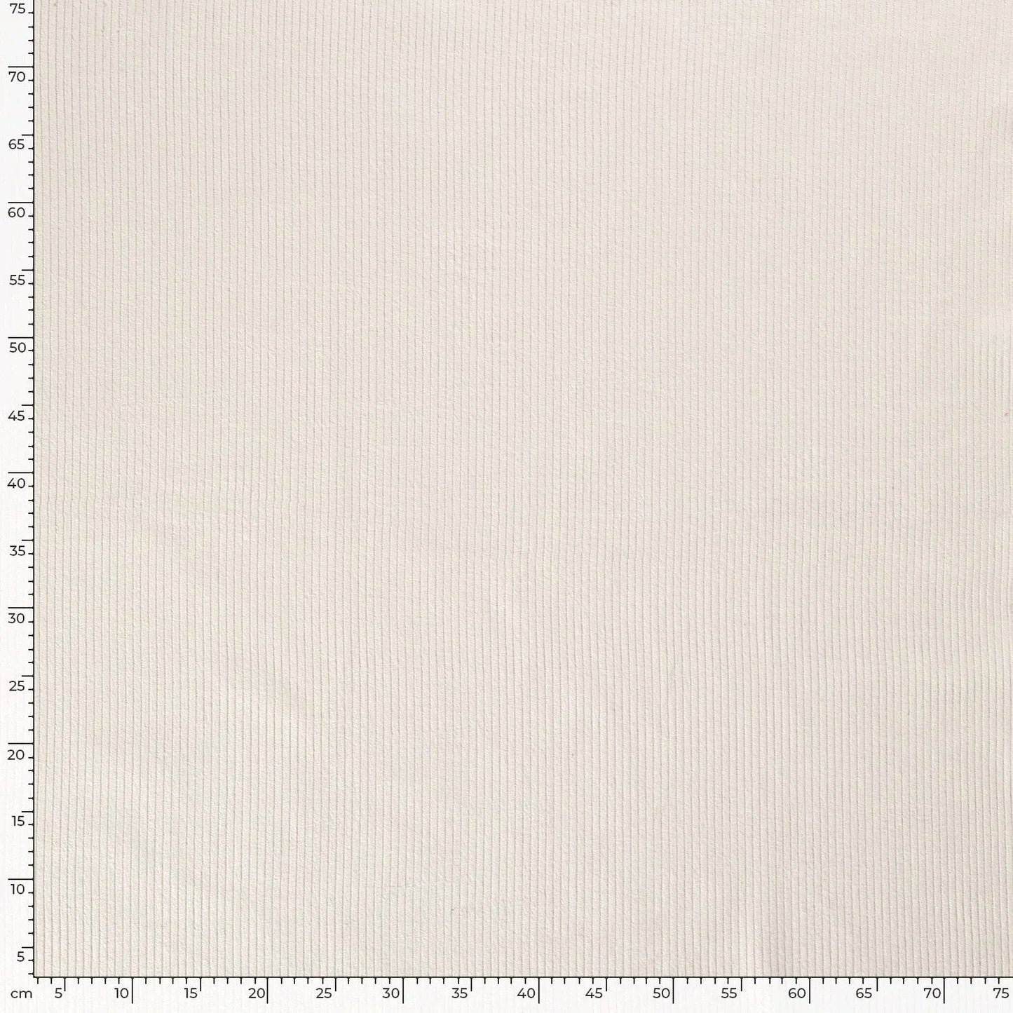 Cotton Corduroy 4.5w Off-White