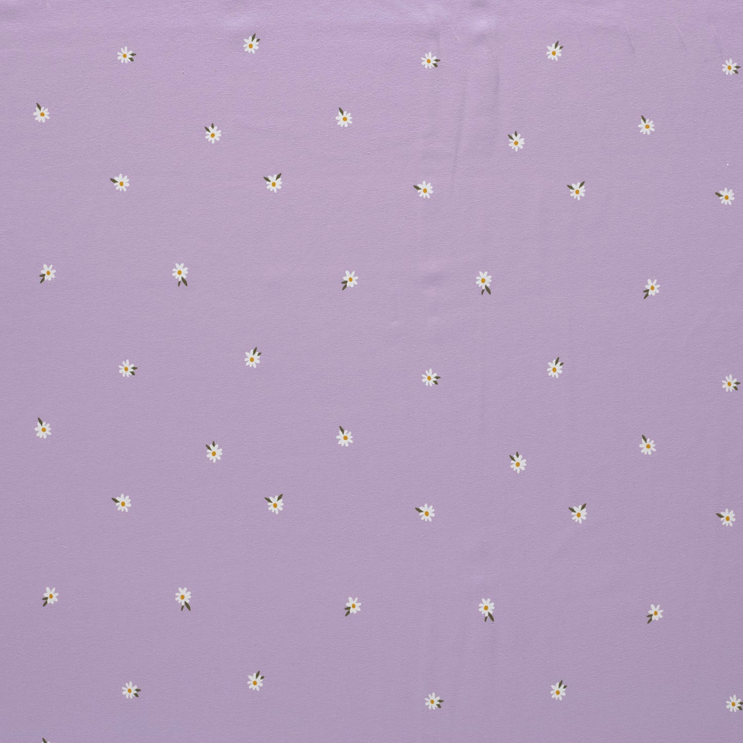 Cotton Jersey Printed Flowers Lila