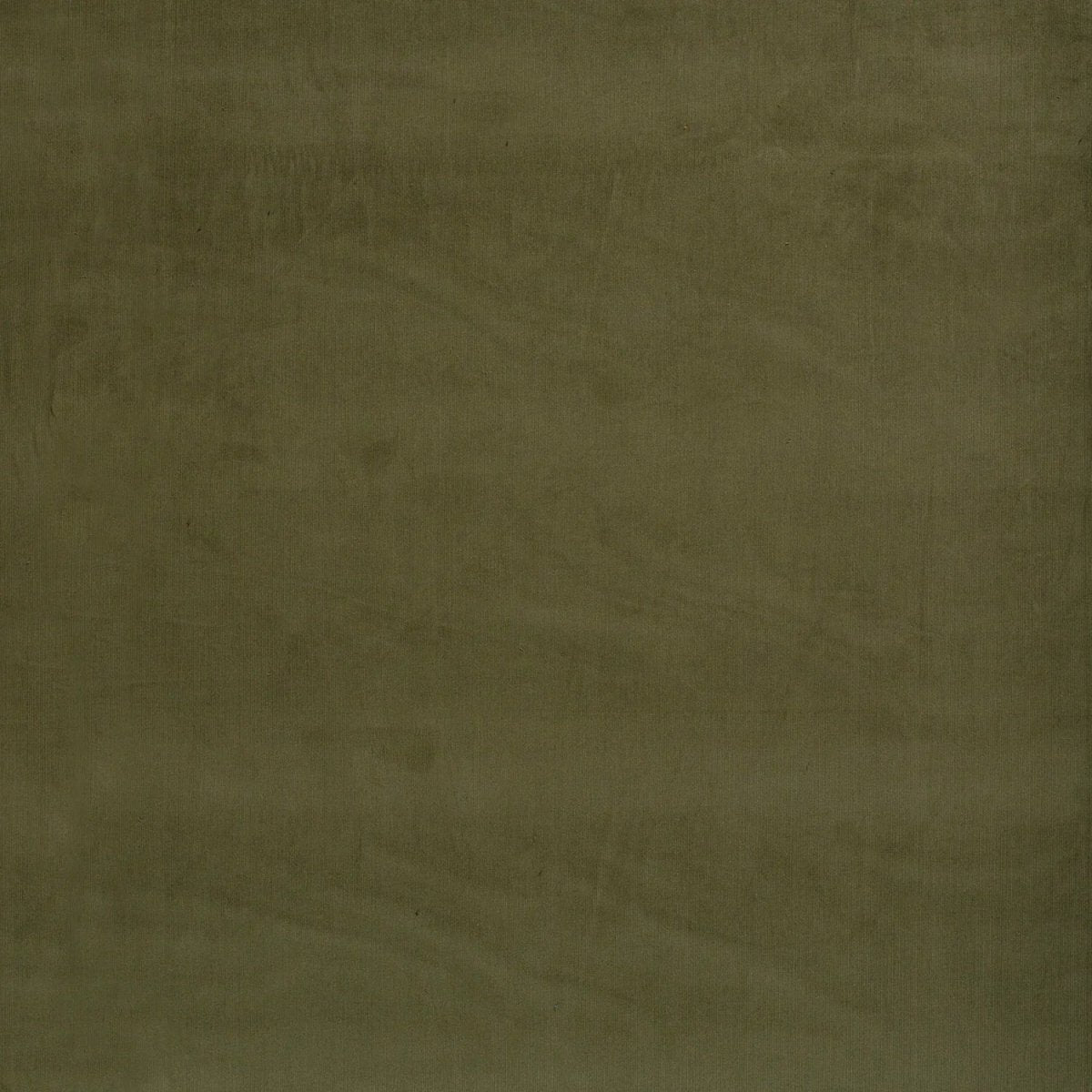 Babycord 21w Olive Green - Lametru.ro