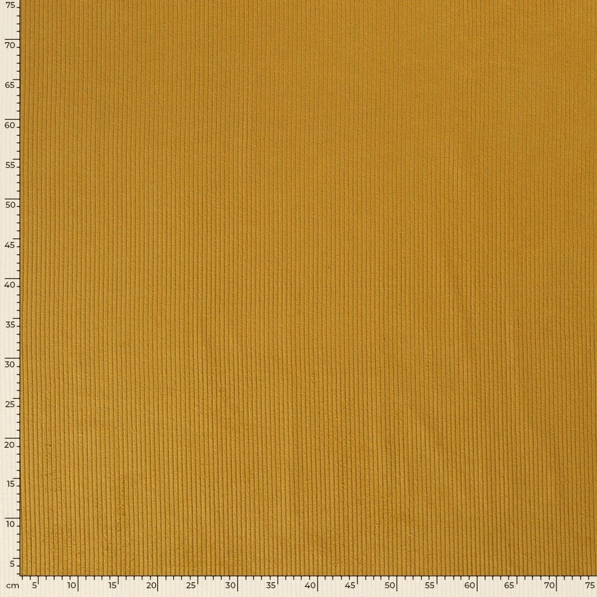 Cotton Corduroy 4.5w Ochre - Lametru.ro