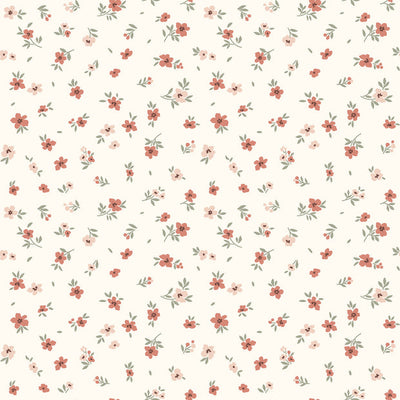 Cotton Jersey Pointelle Small Flowers Off White