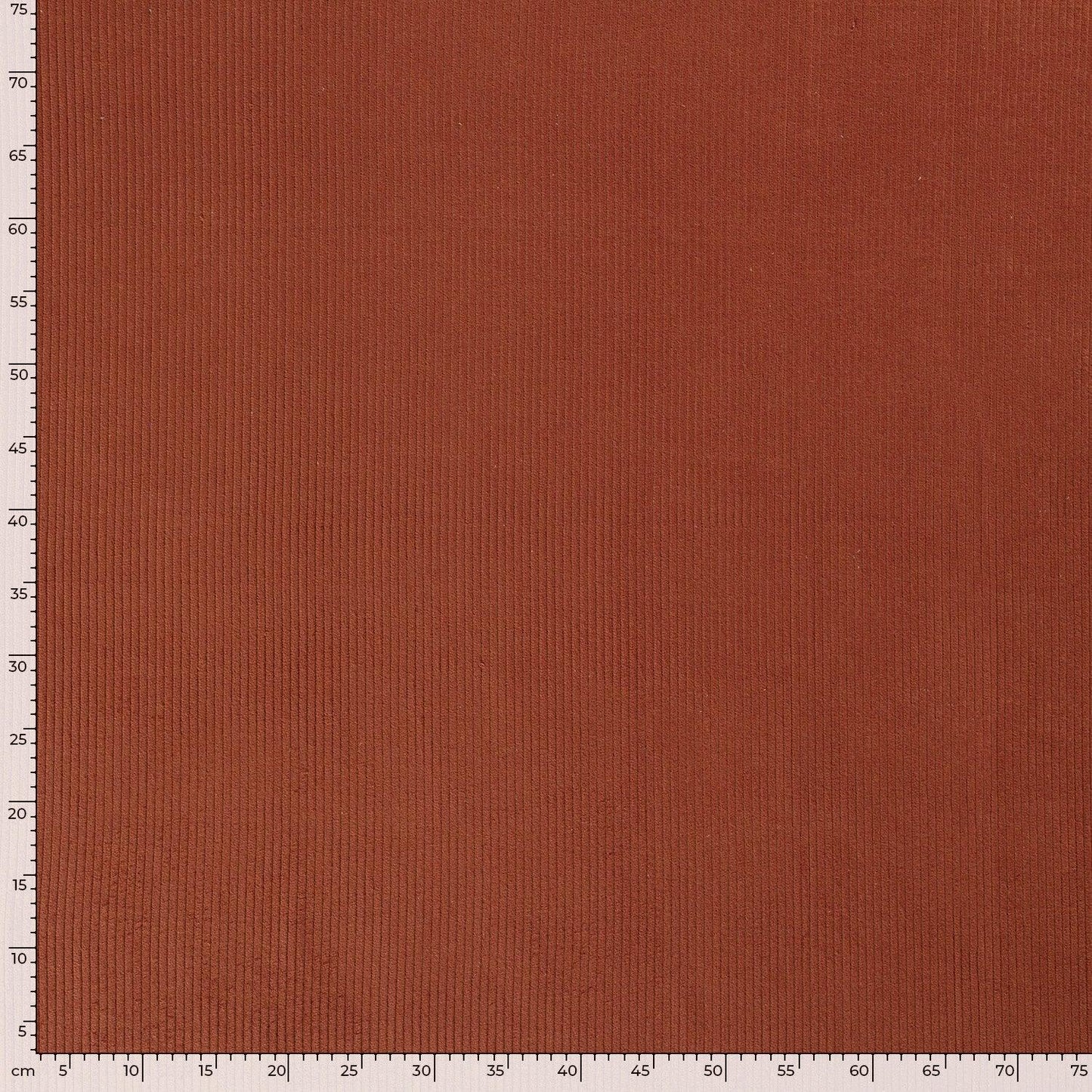 Cotton Corduroy 4.5w Brique
