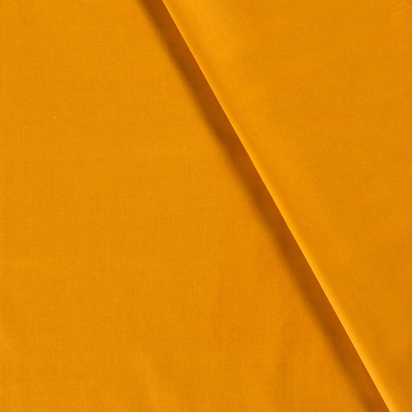 Cotton Poplin Ochre
