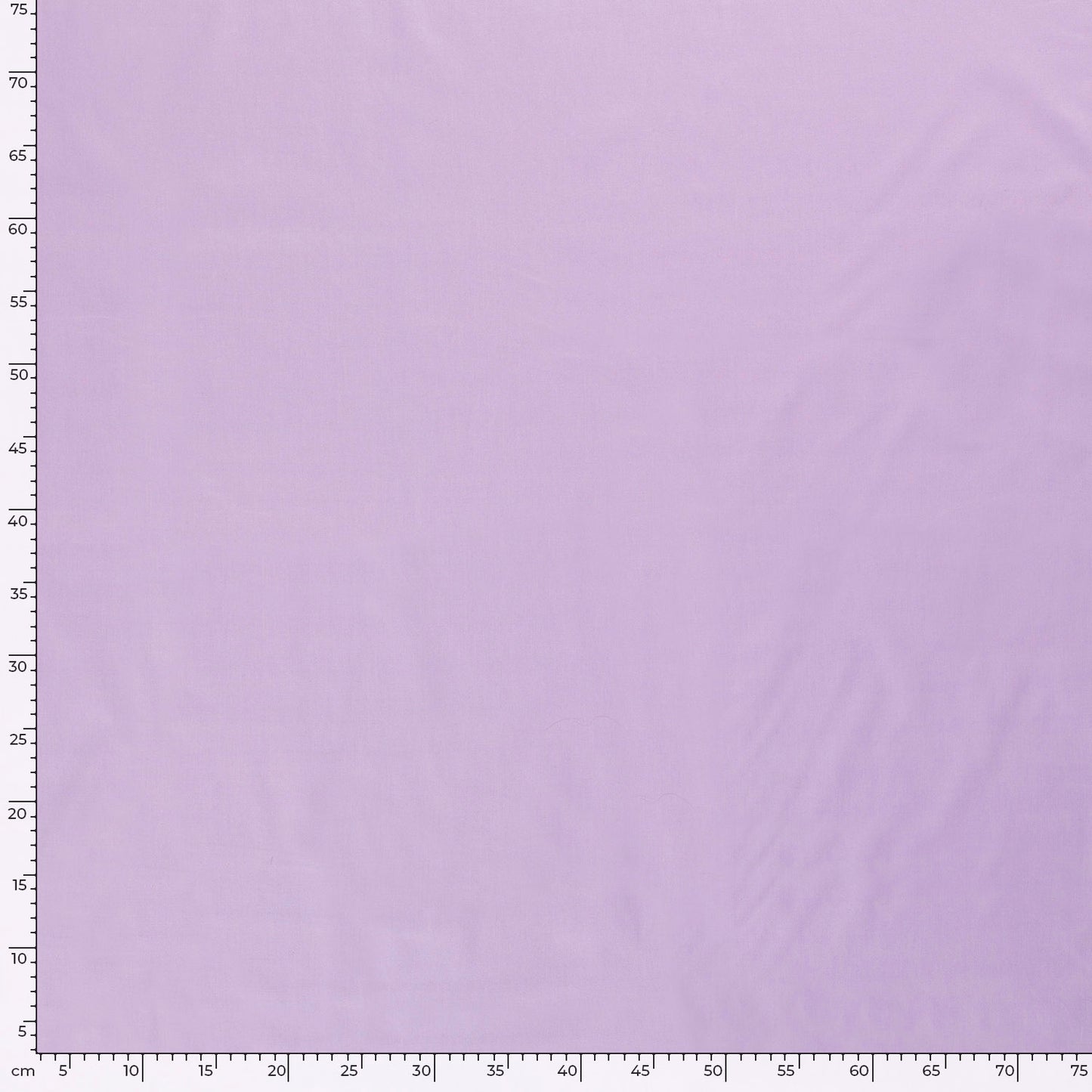 Cotton Poplin Lavender