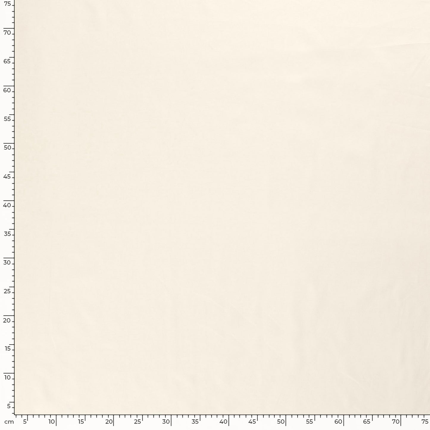 Cotton Poplin Off-White