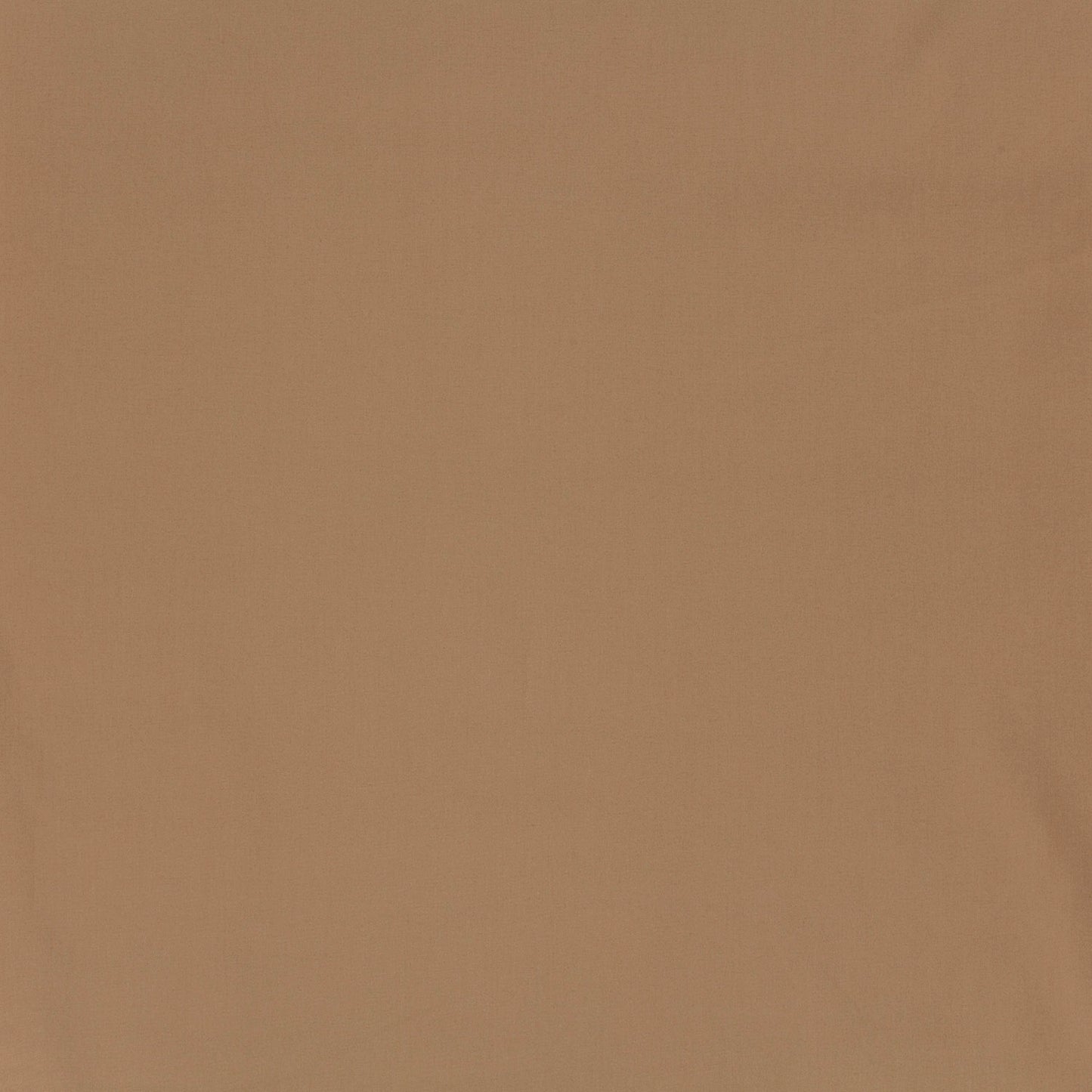 Cotton Poplin Camel