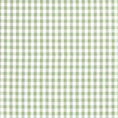 Cotton Poplin Gingham Mint 5 mm