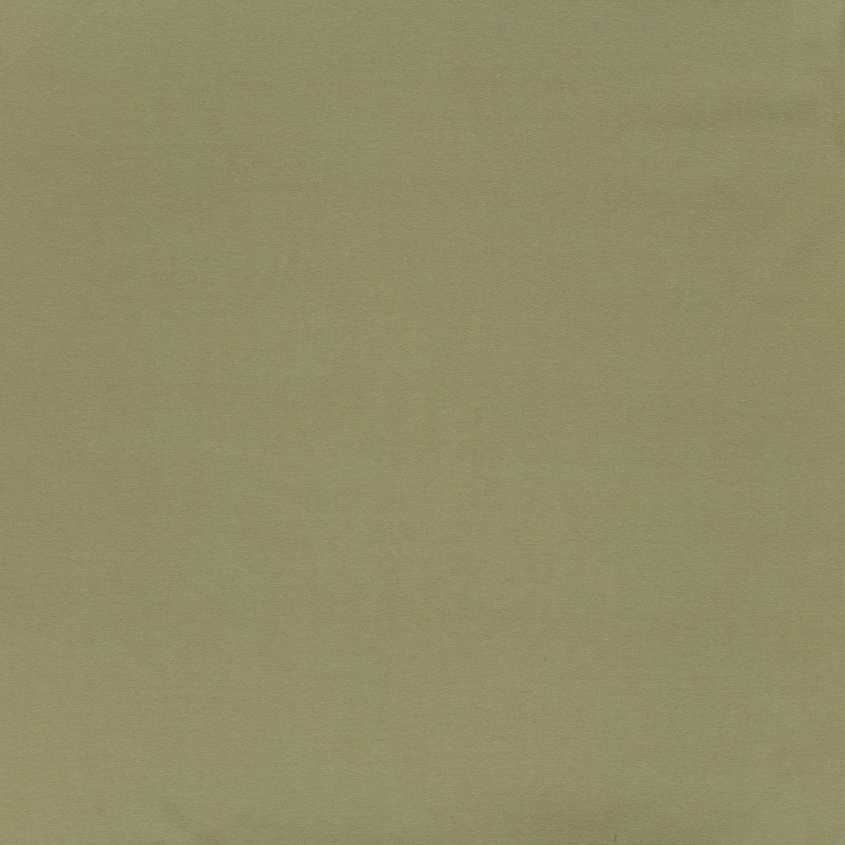 Cotton Jersey Olive Green - Lametru.ro